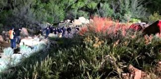 Team of rescue workers in reflective vests standing around a rocky, brushy hillside in a wooded area.