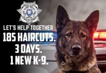 Payson City Police Department banner with a police dog in front of a patrol car and large text about 185 haircuts in 3 days for a new K-9 (fundraiser).