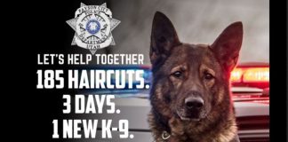 Payson City Police Department banner with a police dog in front of a patrol car and large text about 185 haircuts in 3 days for a new K-9 (fundraiser).