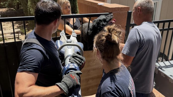 People outdoors around a metal railing; a man with a cordless angle grinder operates the tool while others watch, wearing gloves and navy shirts.