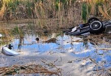 Car overturned in a shallow wetland, with its wheels up and debris floating among reeds and cattails.