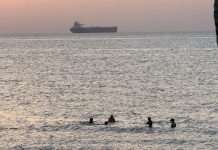 Five swimmers in the sea at sunset near a rocky shore, with a large cargo ship on the horizon.