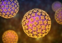 Color-enhanced illustration of a spherical virus particle with yellow spike proteins on a pink core, floating in a dark background.