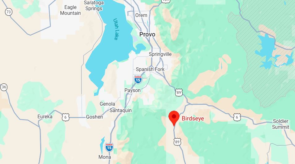 Map of central Utah with a pin labeled Birdseye southeast of Provo along I-15 and US-89, near Payson and Santaquin, showing surrounding towns.
