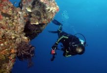 Scuba diver in a black wetsuit with neon trim exploring a colorful coral reef underwater.