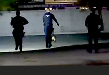 Three silhouetted figures walk in a dim, reflective corridor; center figure wears a vest with a badge and equipment belt.