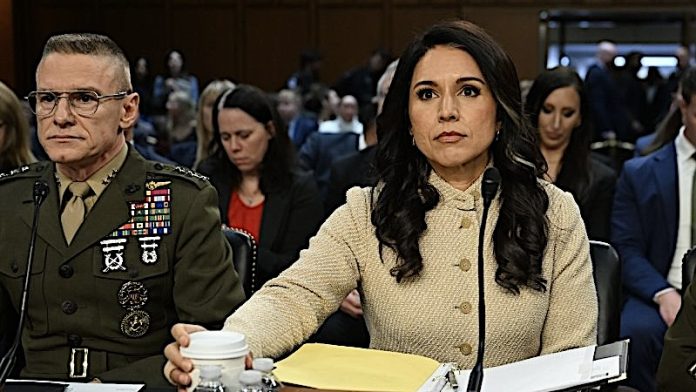 Tulsi-Gabbard-resigns-from-Trump-administration 2 Woman in a beige coat testifying at a formal hearing, seated at a table with a microphone and papers, surrounded by attendees and officials.
