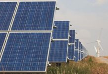 Row of blue solar panels in a field with a wind turbine visible in the distance.