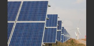 Row of blue solar panels in a field with a wind turbine visible in the distance.