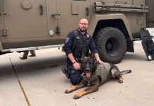 K-9 police dog in a tactical vest lying on the driveway beside a uniformed officer in front of a large armored vehicle.