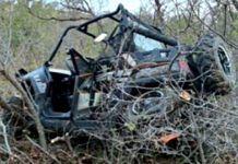 Destroyed car lodged in dense brush after an accident in a wooded area.