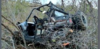 Destroyed car lodged in dense brush after an accident in a wooded area.