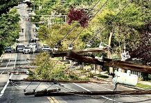 Downed wooden utility pole and tangled power lines blocking a residential street after a storm, with debris and cars in the distance.