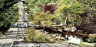 Downed wooden utility pole and tangled power lines blocking a residential street after a storm, with debris and cars in the distance.