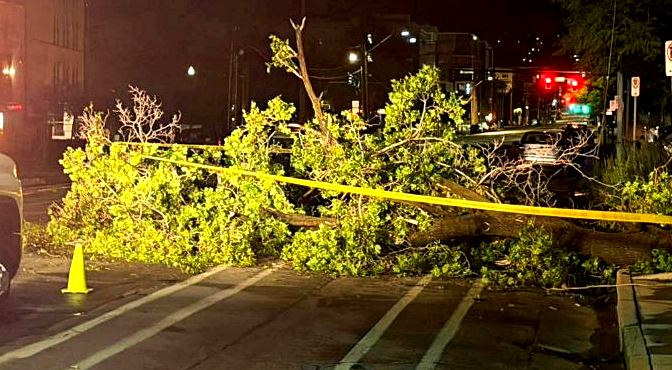 Nighttime street scene with a large fallen tree branch across the road, yellow caution tape, and orange traffic cones blocking traffic.