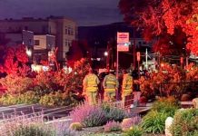 Three workers in high-visibility yellow jackets stand near a cordoned urban street by a bus stop at dusk, with colorful landscaping in the foreground.