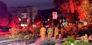 Three workers in high-visibility yellow jackets stand near a cordoned urban street by a bus stop at dusk, with colorful landscaping in the foreground.