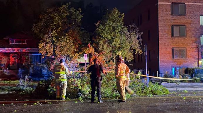 Night scene with firefighters and a police officer inspecting a fallen tree blocking a street, taped off.