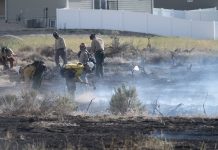 Update: Evacuation orders lifted for 175 acre fire that threatened homes in Saratoga Springs Firefighters in tan and yellow gear work to extinguish a brush fire near a residential area with a white fence in the background.