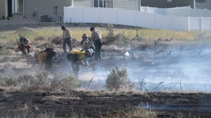 Firefighters in tan and yellow gear work to extinguish a brush fire near a residential area with a white fence in the background.
