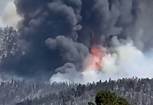 No homes lost in Iron Fire near Eureka as firefighters focus on structure protection Forest fire on a hillside with dark smoke and visible orange flames.