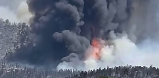 Forest fire on a hillside with dark smoke and visible orange flames.