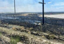 Charred rural field with burnt grass, a fence, and a utility pole after a brush fire along a dirt road.