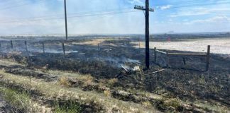 Charred rural field with burnt grass, a fence, and a utility pole after a brush fire along a dirt road.