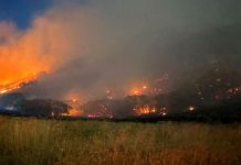 Bonneville Fire mapped at 395 acres