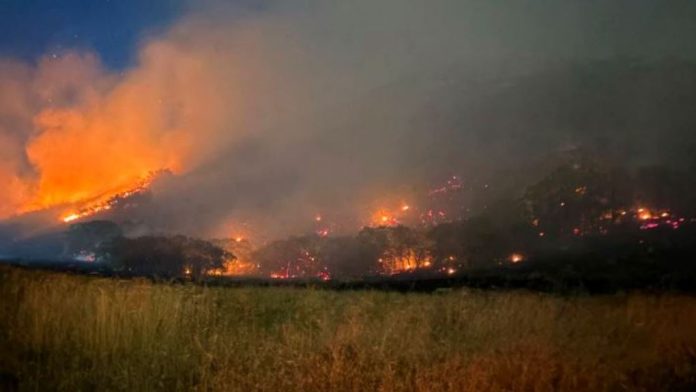 Wildfire burning across a hillside at dusk, with orange flames and thick smoke rising above trees and a grassy field in the foreground