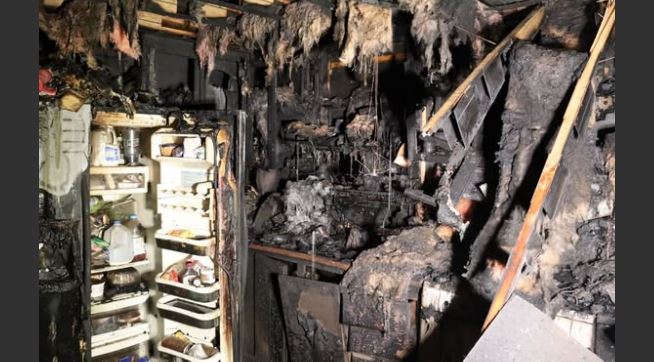 Three pets die in Brigham City trailer fire