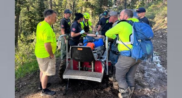 Rescue team in neon clothing gathering around a person on a wheeled stretcher in a forested roadside area patient being prepared for transport.