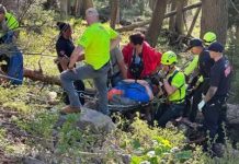 Emergency responders in neon gear carry an injured person on a stretcher through a wooded forest.