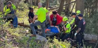 Emergency responders in neon gear carry an injured person on a stretcher through a wooded forest.