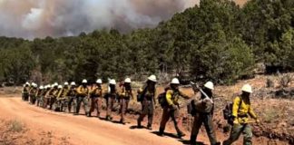 Line of wildfire firefighters in yellow jackets and white helmets walking in a single file along a dirt road with trees and smoke in the background
