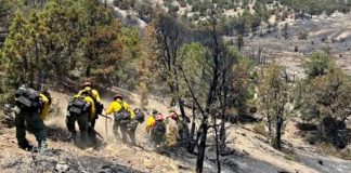 Wildland firefighters in yellow gear moving through a scorched hillside with charred trees and smoke.
