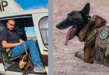 Two-panel image: left shows a man in a black shirt sitting in an open-door helicopter; right shows a German Shepherd in a tactical vest lying on sandy ground with tongue out.