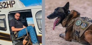 Two-panel image: left shows a man in a black shirt sitting in an open-door helicopter; right shows a German Shepherd in a tactical vest lying on sandy ground with tongue out.