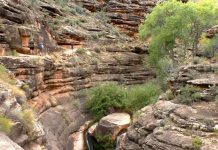 Hikers walk along a rocky canyon wall with layered sandstone formations and sparse shrubs, a narrow trail winding through crevices.