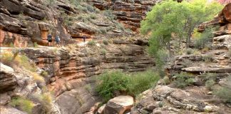 Hikers walk along a rocky canyon wall with layered sandstone formations and sparse shrubs, a narrow trail winding through crevices.