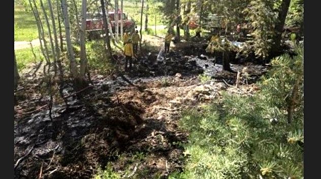Firefighters in yellow shirts stand among burnt soil and charred ground in a wooded area with trees around them.