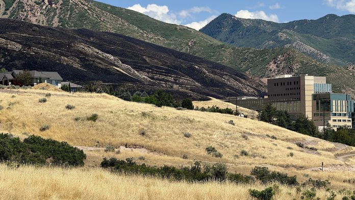 Dry grassy field in the foreground with a dark, burned hillside behind a row of houses and a modern beige building on the right, under a blue sky.