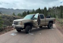 Woman airlifted to hospital after ejected from pickup truck in Iron County Beige pickup truck diagonally blocking a rural road with both doors open and a forested, mountain backdrop behind it.