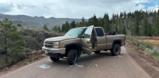 Beige pickup truck diagonally blocking a rural road with both doors open and a forested, mountain backdrop behind it.