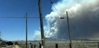 Rural road with wooden fence posts as a thick smoke plume rises from a distant wildfire on the horizon.