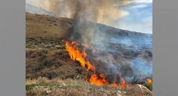 A brush fire burning across a dry hillside with bright orange flames and rising smoke.