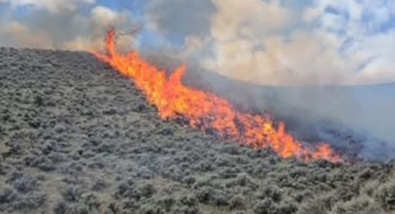 Wildfire burning along a dry, shrub-covered hillside with orange flames and smoke rising into the sky.
