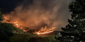 Nighttime brush fire sweeping across a hillside, flames and thick smoke rising behind trees.",