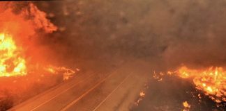 Wildfire burning along both sides of a road, with bright orange flames and smoke filling the air ahead and to the sides.
