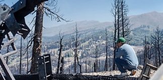 Man in a blue hoodie crouches on a burnt hillside, surveying a valley of charred trees after a wildfire.